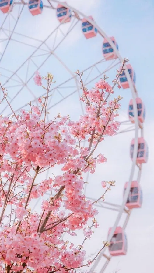 Aesthetic Spring