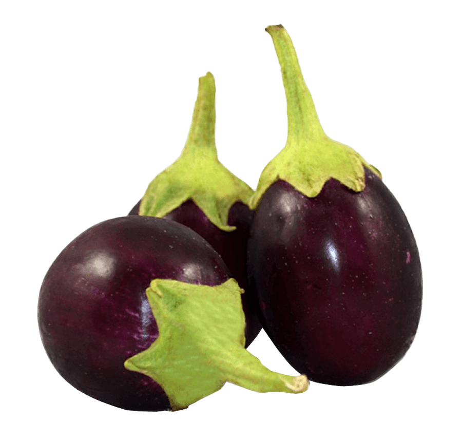 Fresh Eggplantson Neutral Background