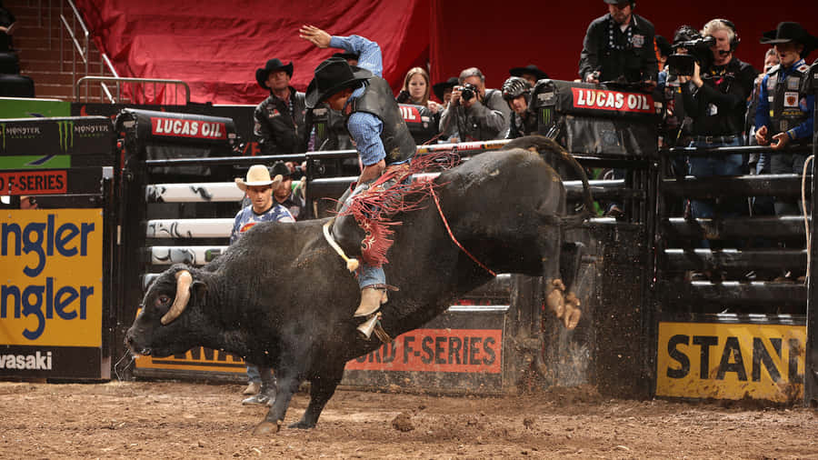 Azione di Bull Riding all'Evento P B R