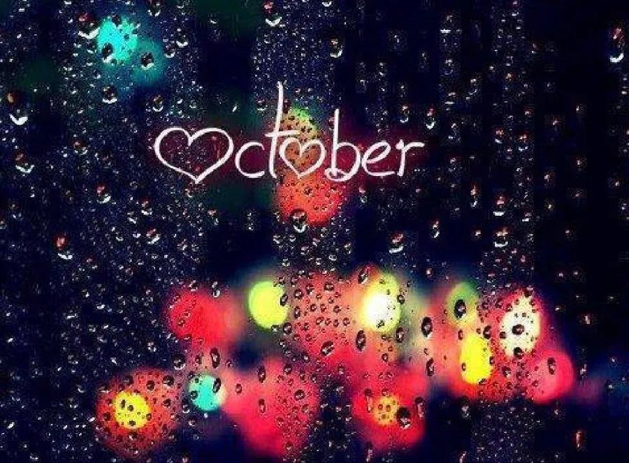 Rainy Window Shield Hello October