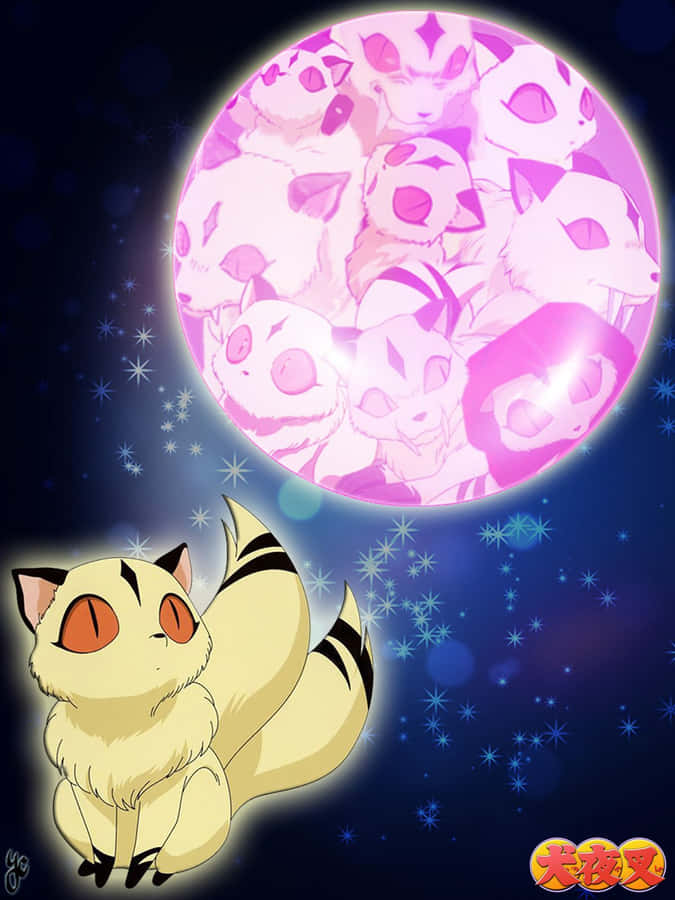 Kirara,il gatto volante magico
