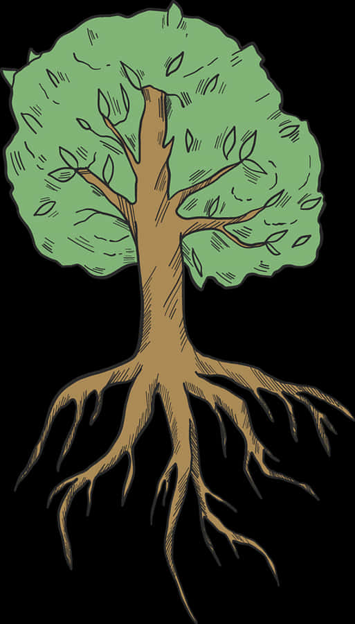 Tree With Roots Clipart, HD Png Download