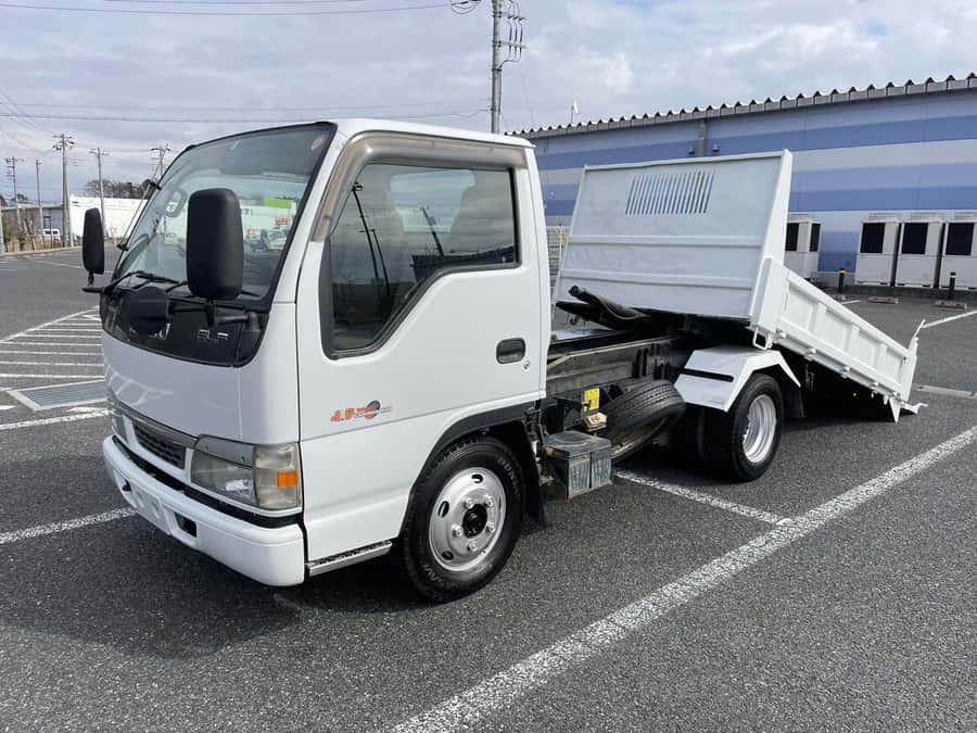 Camion Ribaltabile Isuzu Elf Bianco