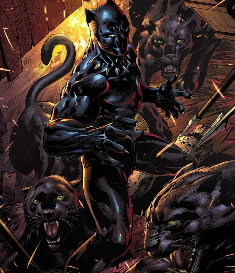 KönigT'Challa, der König von Wakanda