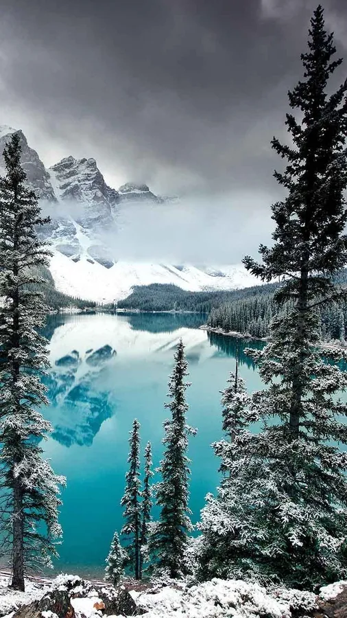 Nature Winter Iphone
