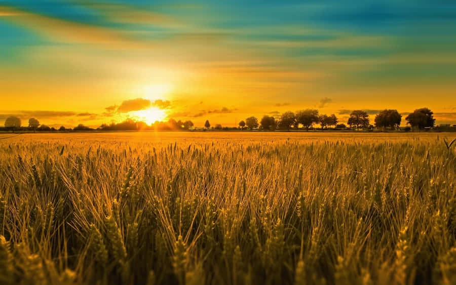 Sommerlandskab1920 x 1200 baggrundsbillede