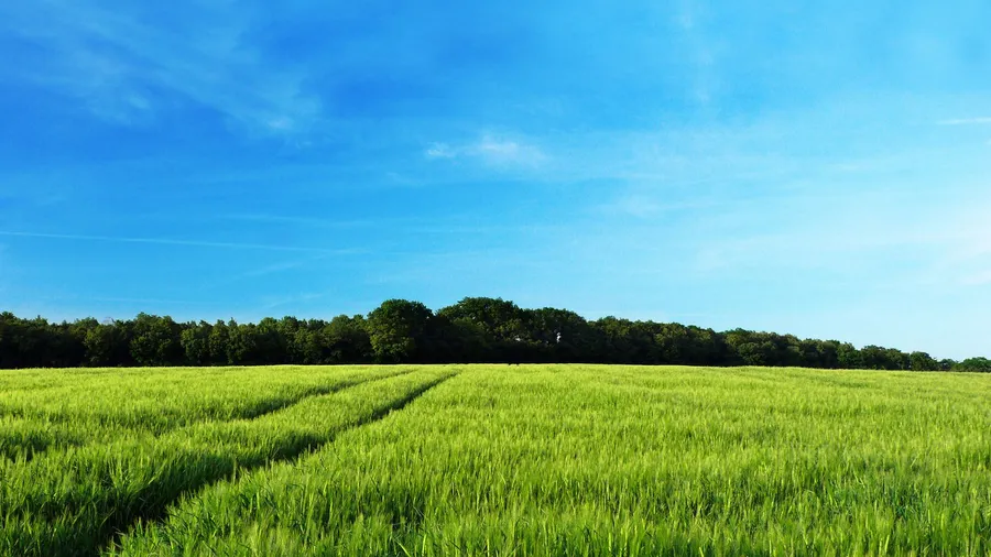 Farm Background