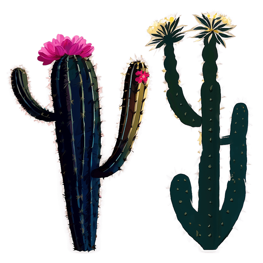 Cactus Flower Silhouette PNG lrl