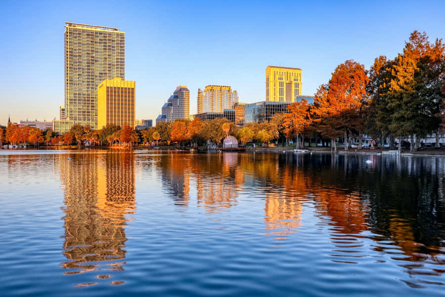 Orlando Skyline Lago Eola Riflessioni Autunnali