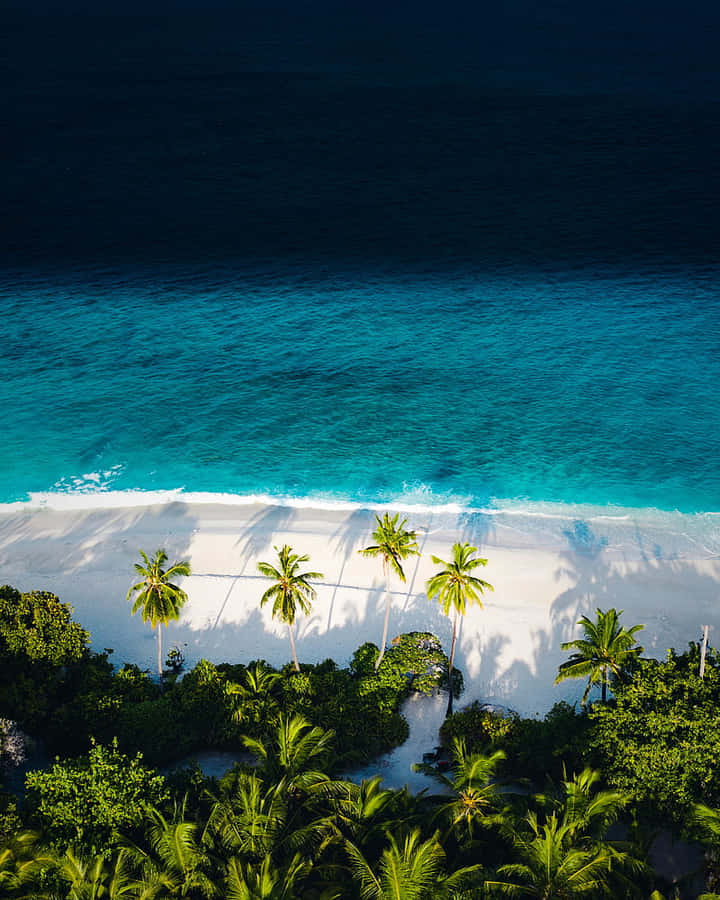 Vistaaérea da praia de coqueiros