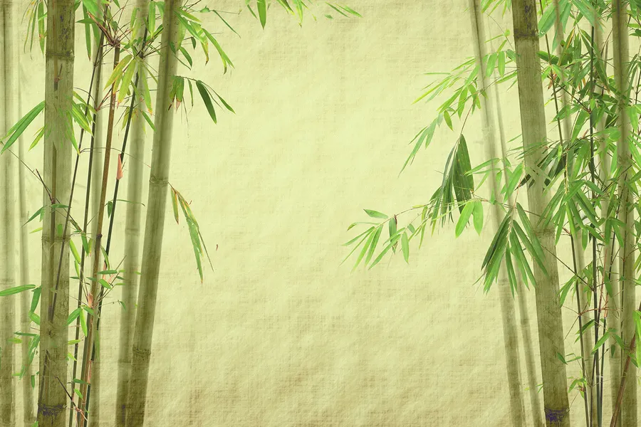 Green Bamboo