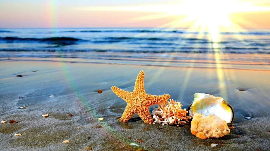 Summer Background