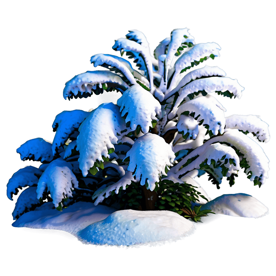 Snow-Covered Bushes PNG 05242024