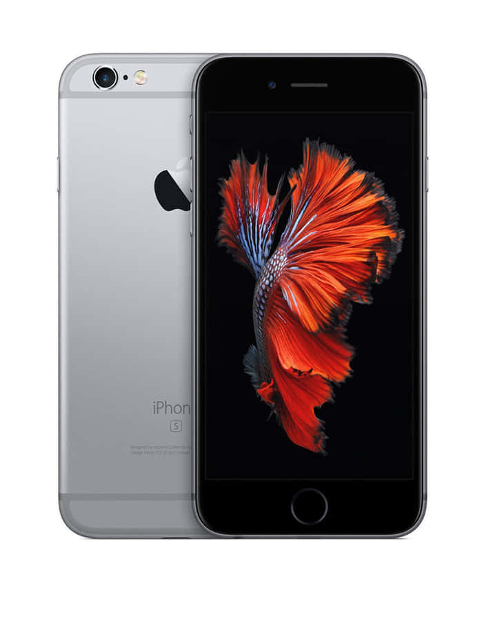 BleibenSie mit dem neuesten Apple Phone verbunden