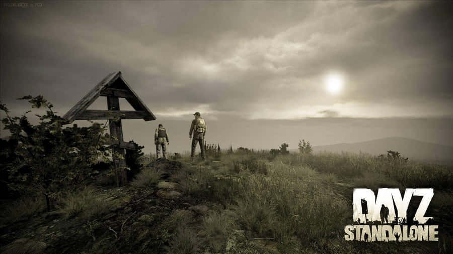 dzeinzeln stehen - Screenshot