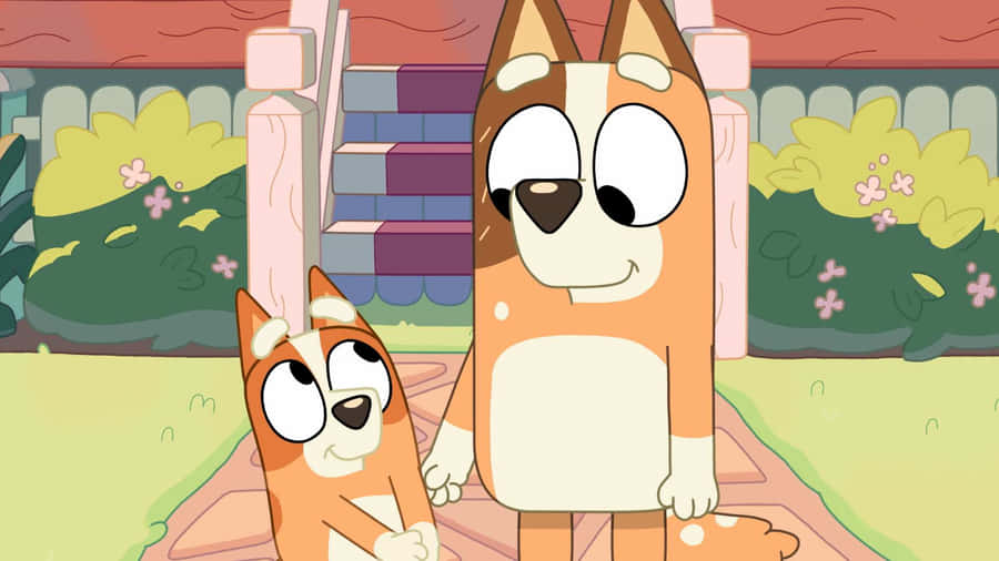 Bluey und Bingo Spielplatzspaß