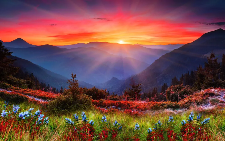 Mountain Scenes
