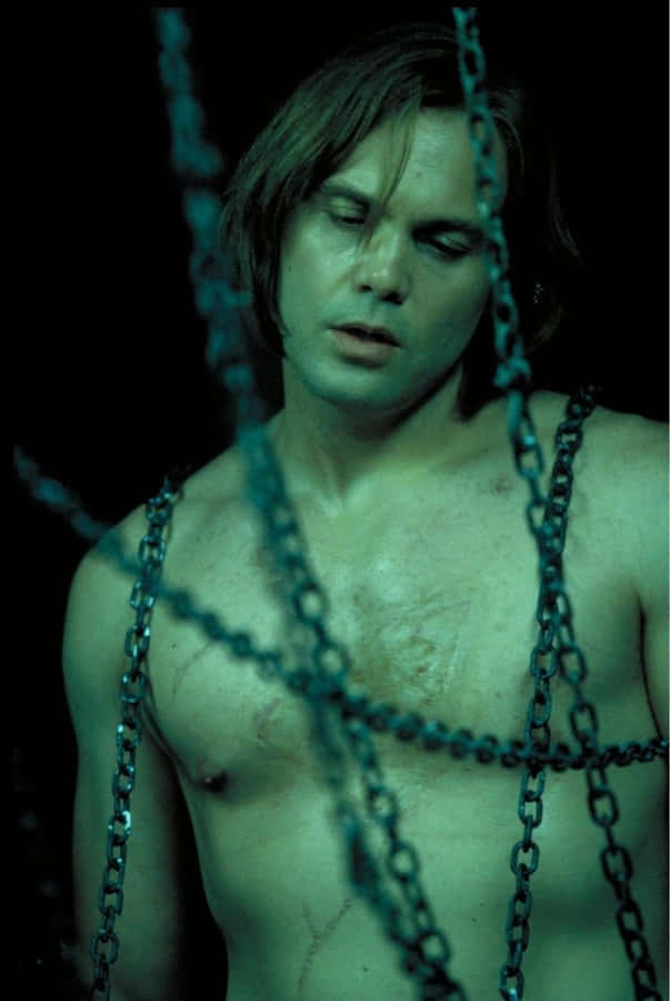 VincentD'Onofrio 640 x 955 Hintergrundbild