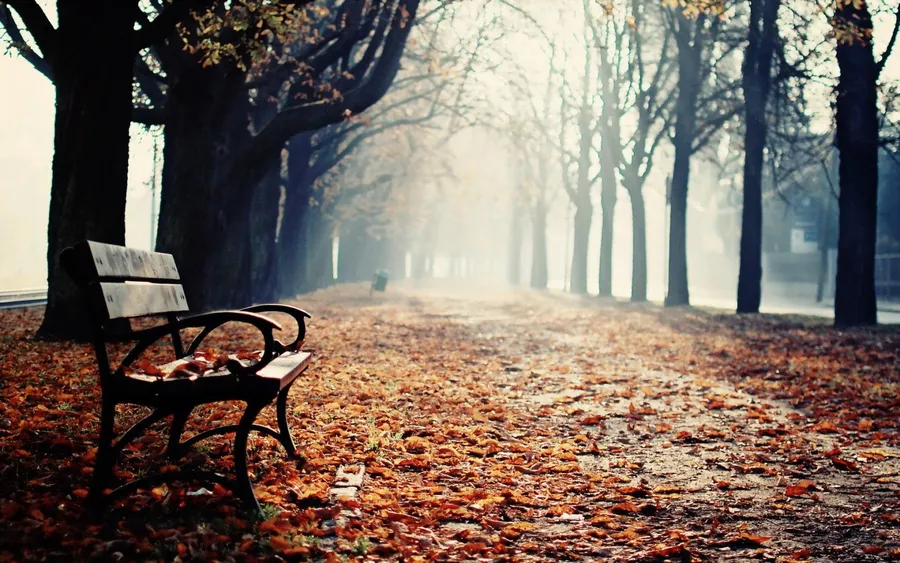 Bench On Radiant Path