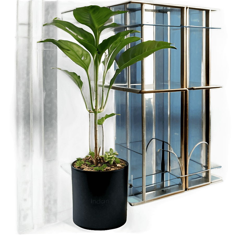 Floor Plant in Home Decor PNG 90