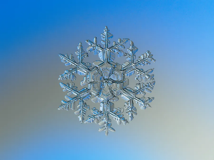 Snowflake pictures