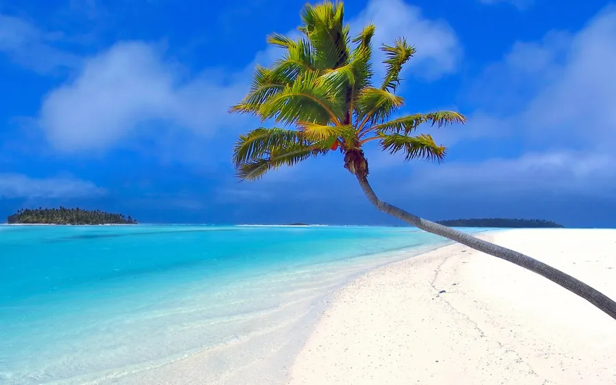 Palm Beach