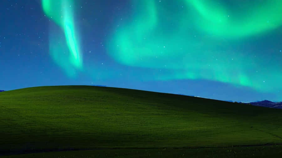Luci del Nord Felici