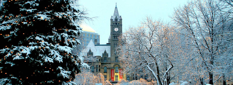 StPaul Rice Park Alberi d'inverno