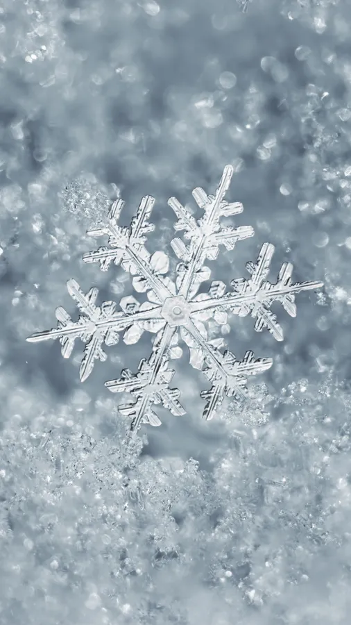 Winter Iphone Background
