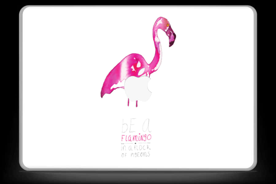 Be A Flamingo Skin Macbook Pro 13” - Greater Flamingo, HD Png Download