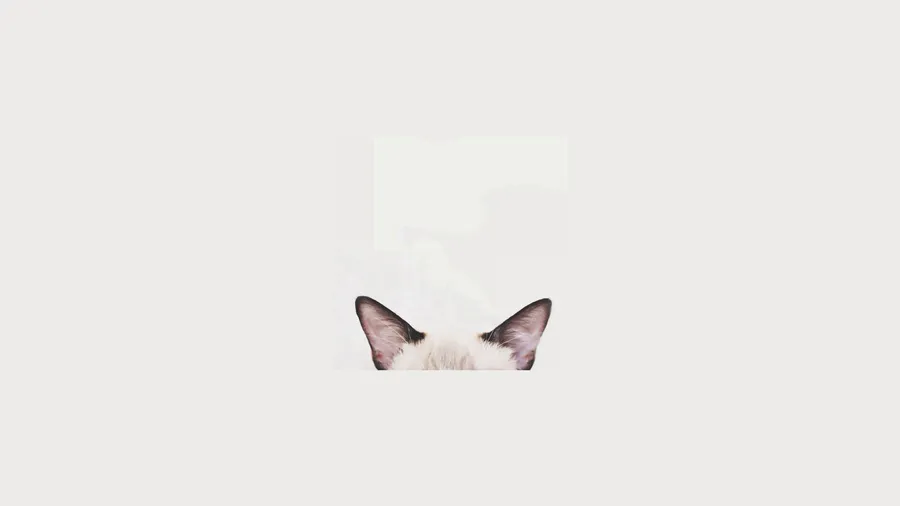 Cat Computer Ears