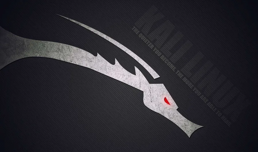 Kali Linux background