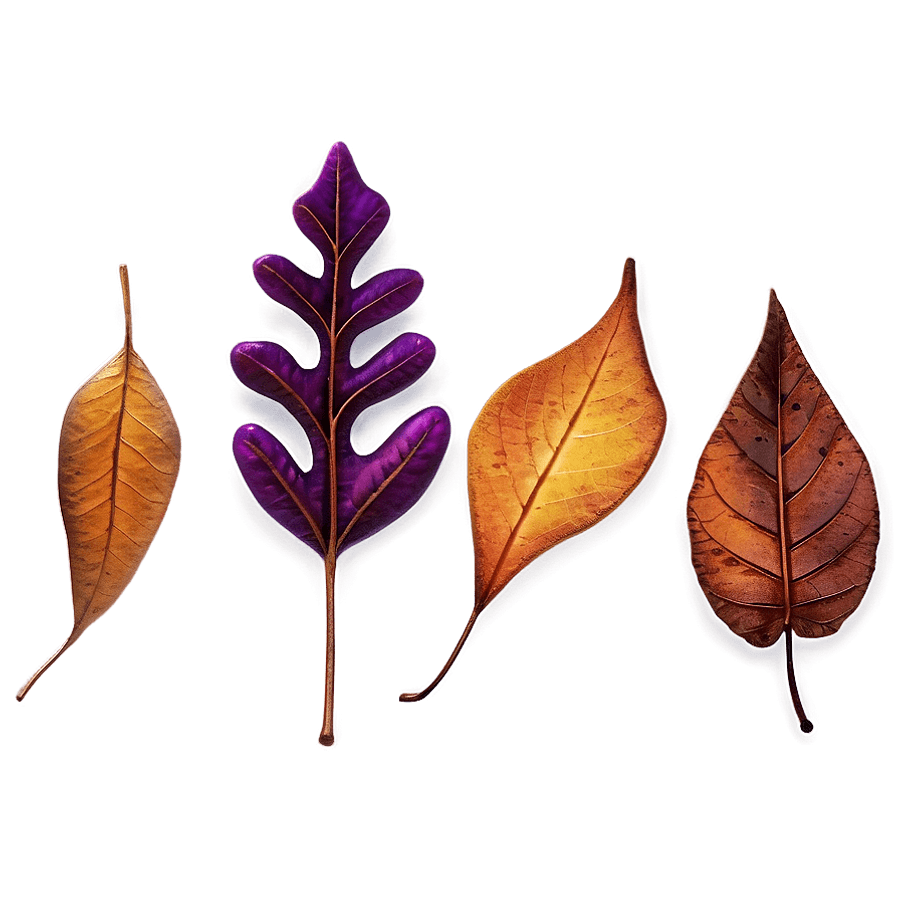 Autumn Leaves Collection PNG 40