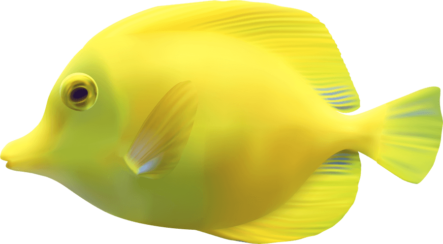 Yellow Zebrasomatang Fish Png Clipart - Fish Png, Transparent Png