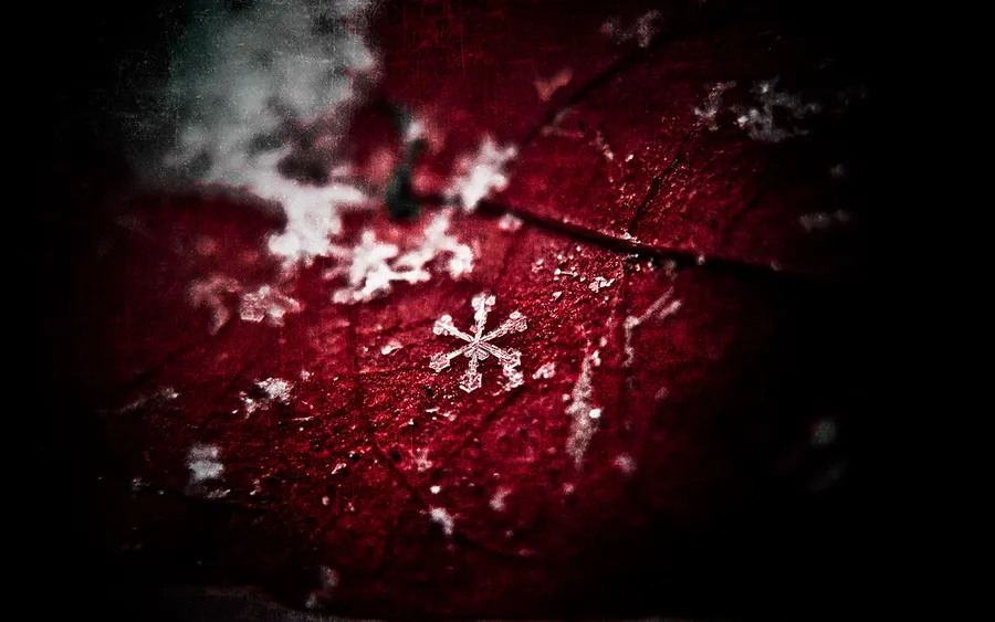 Snowflake Background