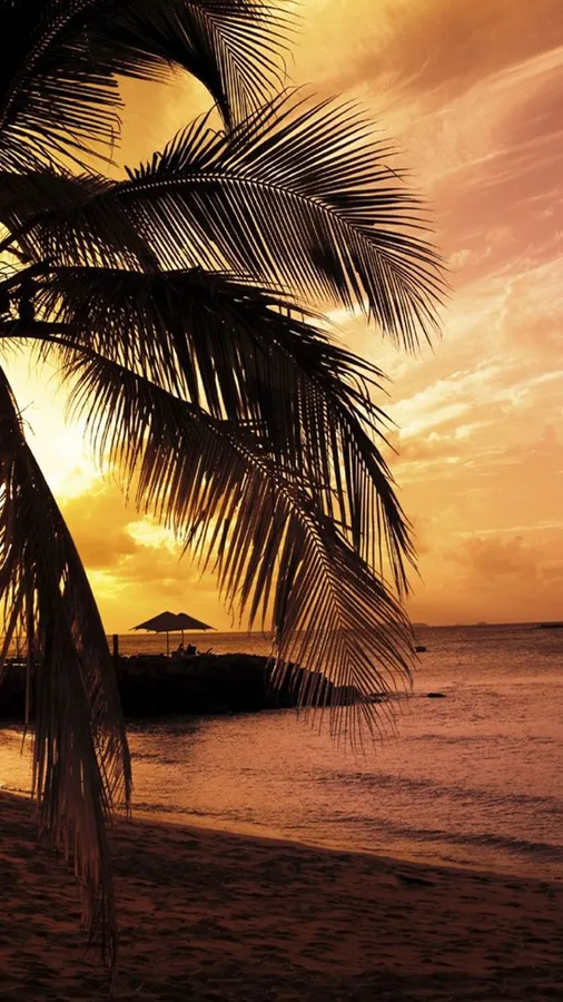 Tropical Iphone