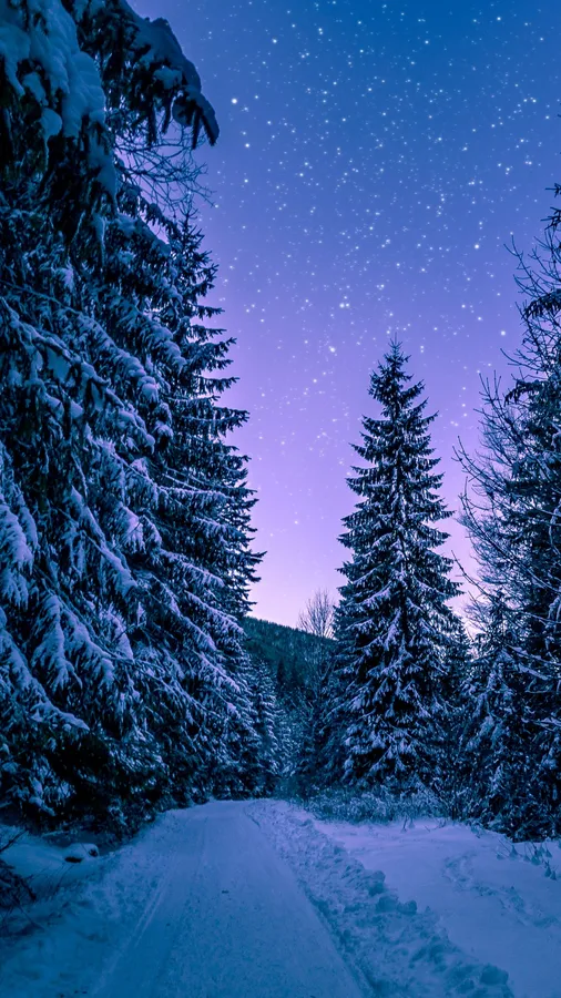 Snow Falling