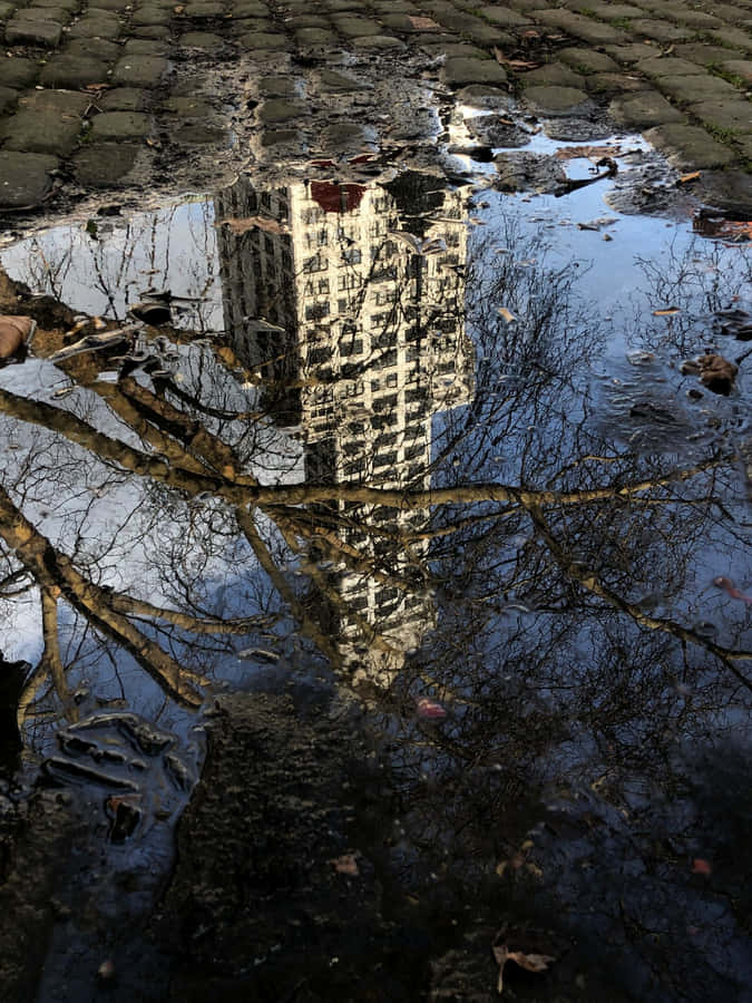 Riflessioni Urbane_ Pioneer Square Seattle
