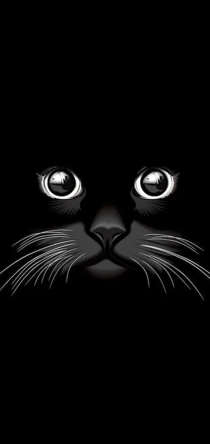 Cool Black Cat