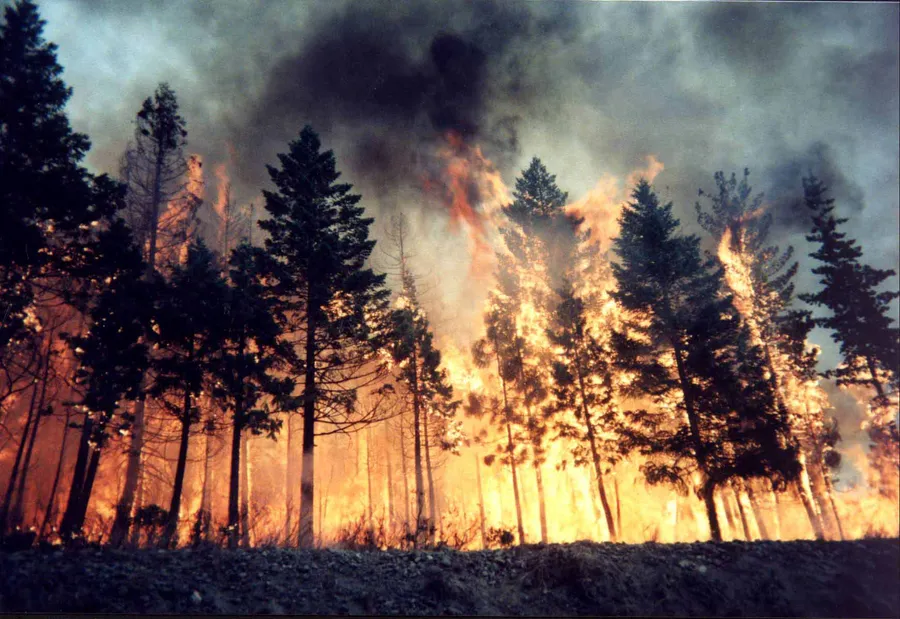 Fire pictures