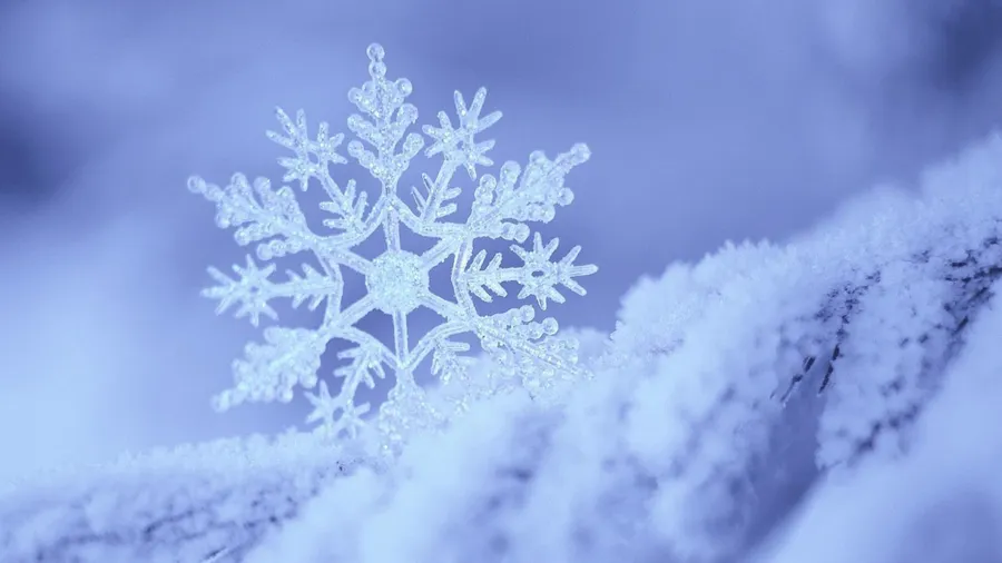 Winter Laptop