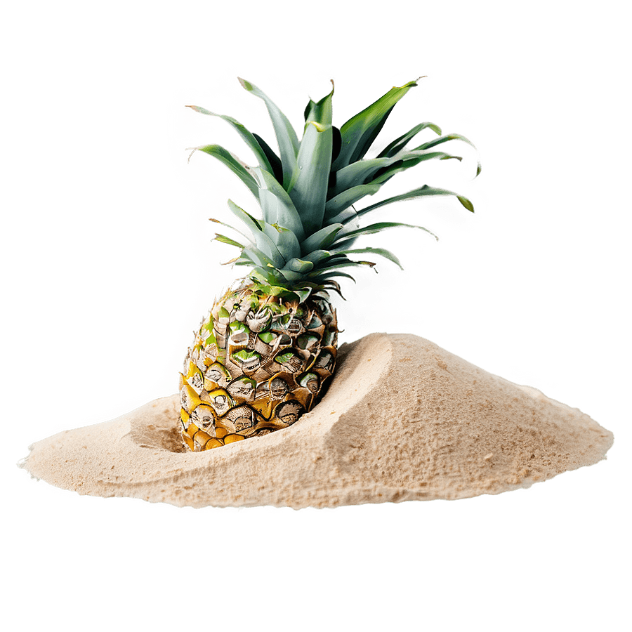 Tropical Beach Sand PNG 45