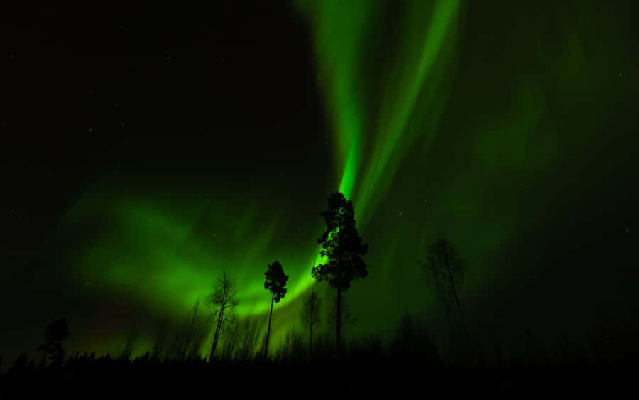 "Wallpaperda Aurora Boreal em 1920 x 1200"