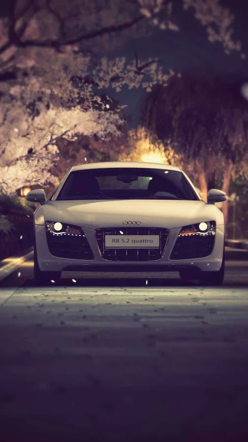 Audi Iphone