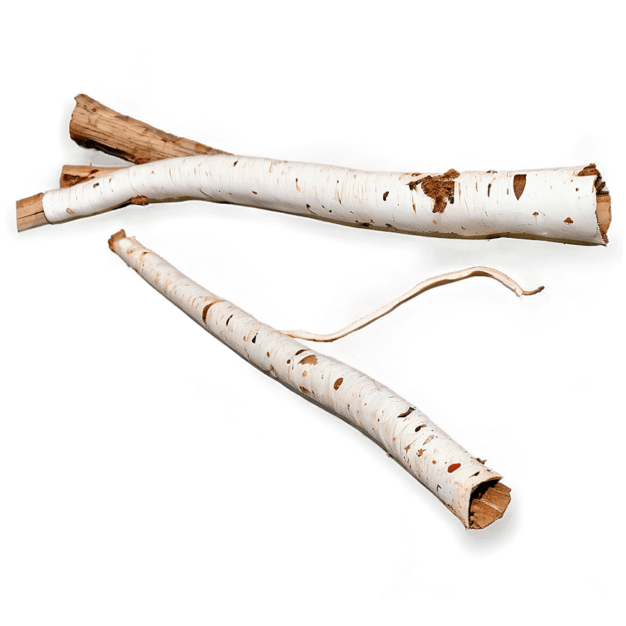 Tornado Debris PNG fyx54