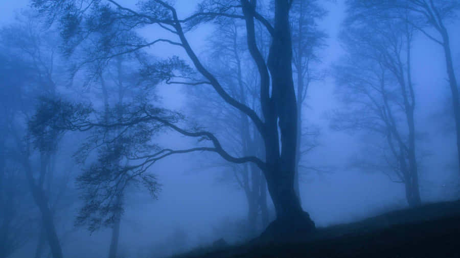 Scoprila bellezza del mondo naturale con questo paesaggio mistico
