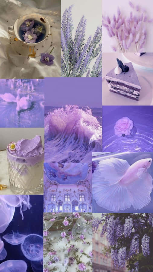 Colagem Estética de Lavanda - Moodboard Roxo