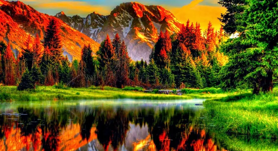 Scenery background