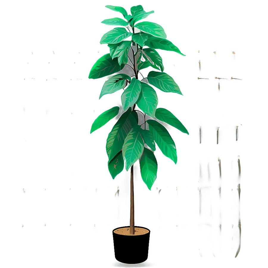 Tall Plant on Transparent Background PNG wan