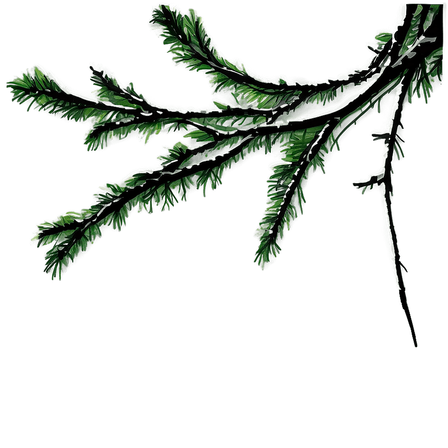 Tree Branches Sunset PNG 37